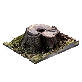 Stump Tree RAW 3D Scan #5